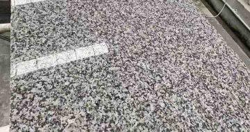 孝感 芙蓉白光面