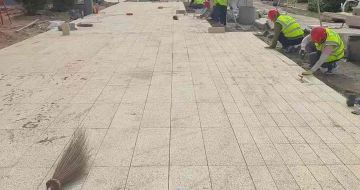 孝感黄金麻荔枝面地铺案例