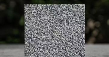 孝感 芝麻黑荔枝面