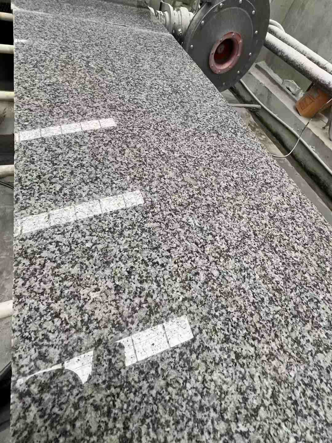 孝感 芙蓉白光面