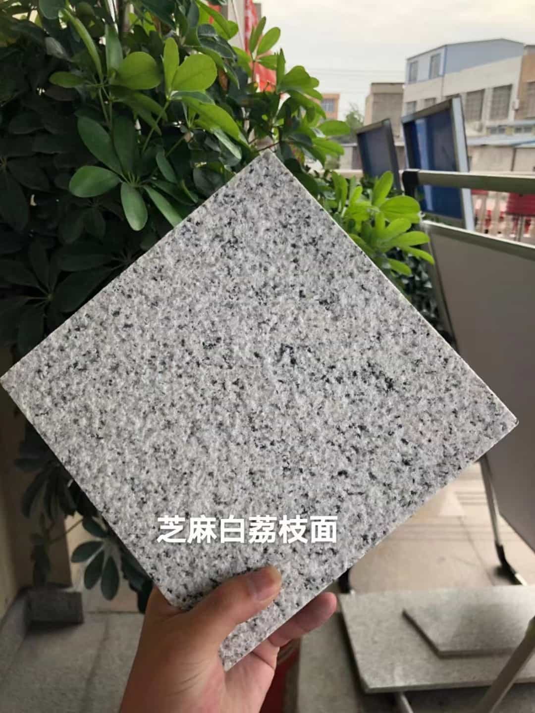 孝感 芝麻白荔枝面干挂